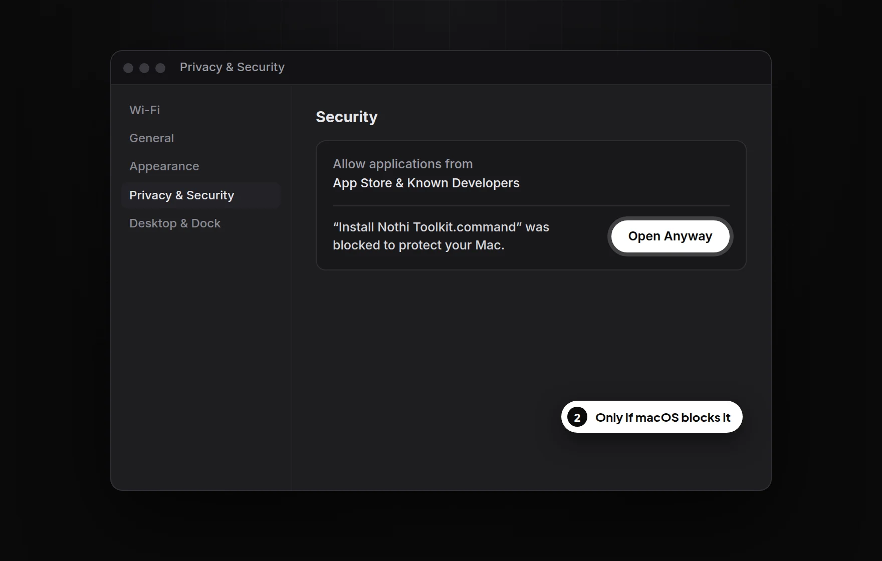 System Settings, Privacy and Security, with the Open Anyway button highlighted